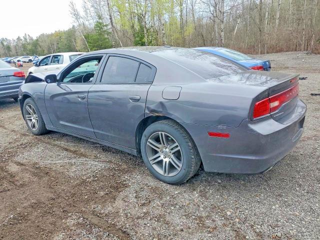 Aukcja sprzedaży 2014 Dodge Charger, vin: 2C3CDXHG5EH366104, numer aukcji: 51689816
