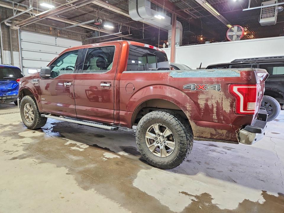 Aukcja sprzedaży 2016 Ford F150, vin: 1FTEW1EP6GKF11839, numer aukcji: 49519566