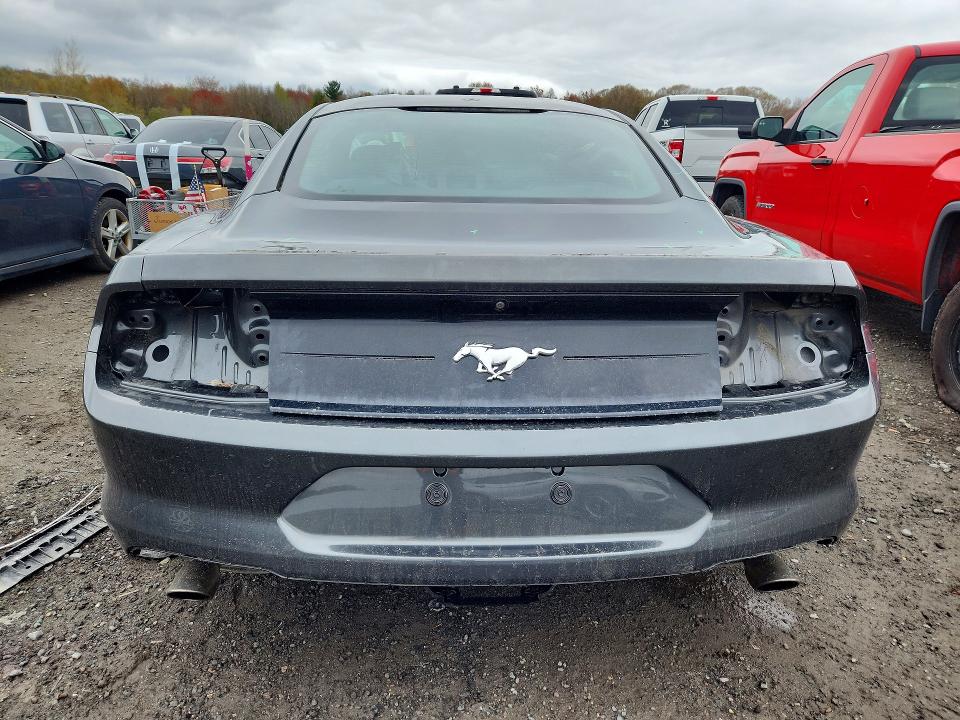 2019 Ford Mustang მანქანა იყიდება აუქციონზე, vin: 1FA6P8TH8K5131954, აუქციონის ნომერი: 51517976