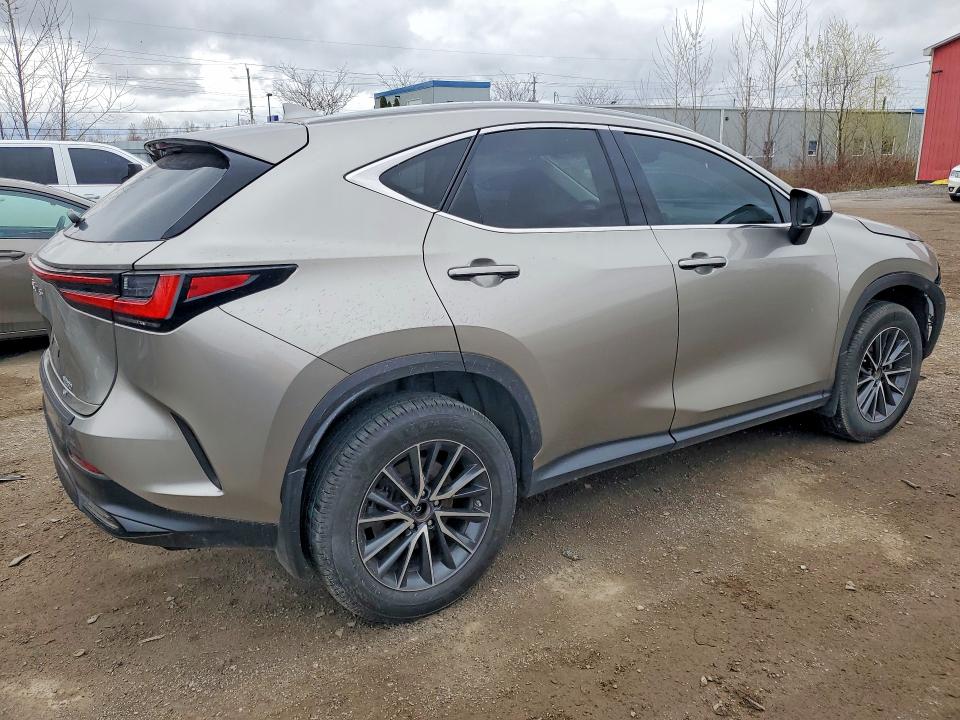 Aukcja sprzedaży 2023 Lexus Nx, vin: 2T2ADCEZ8PC002849, numer aukcji: 50801626