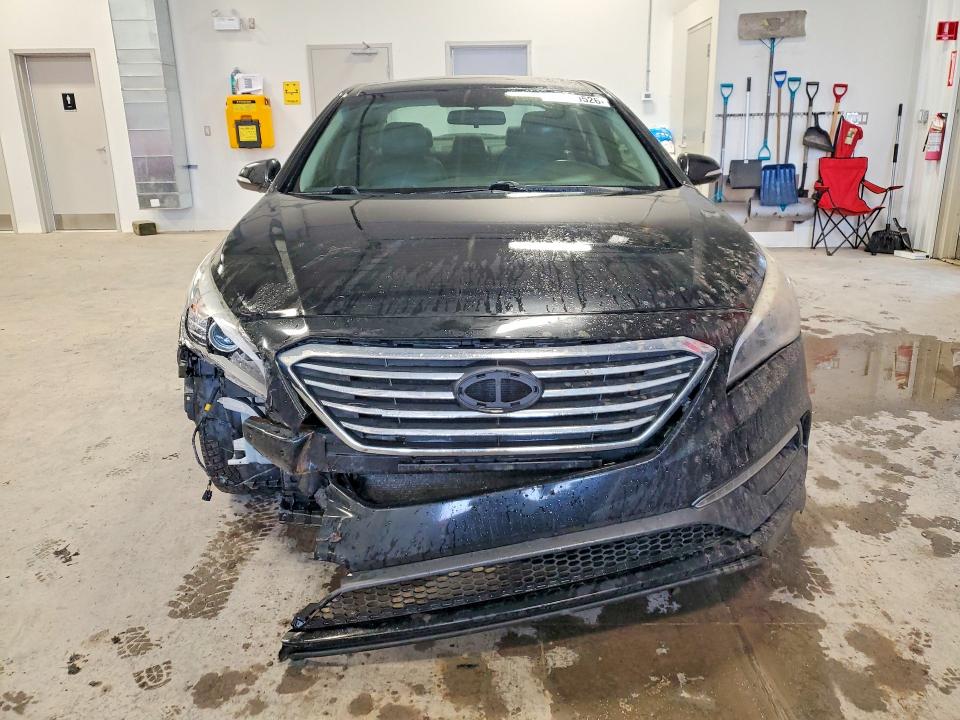 Продаж на аукціоні авто 2016 Hyundai Sonata, vin: 5NPE34AF6GH263887, номер лоту: 49629526