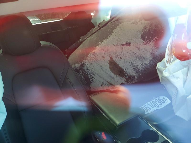 Aukcja sprzedaży 2023 Tesla Model Y, vin: LRWYGDEEXPC266657, numer aukcji: 50514036