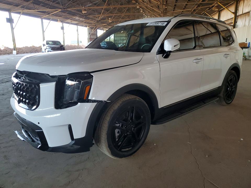 Aukcja sprzedaży 2025 Kia Telluride, vin: 5XYP5DGC7SG713448, numer aukcji: 51209716
