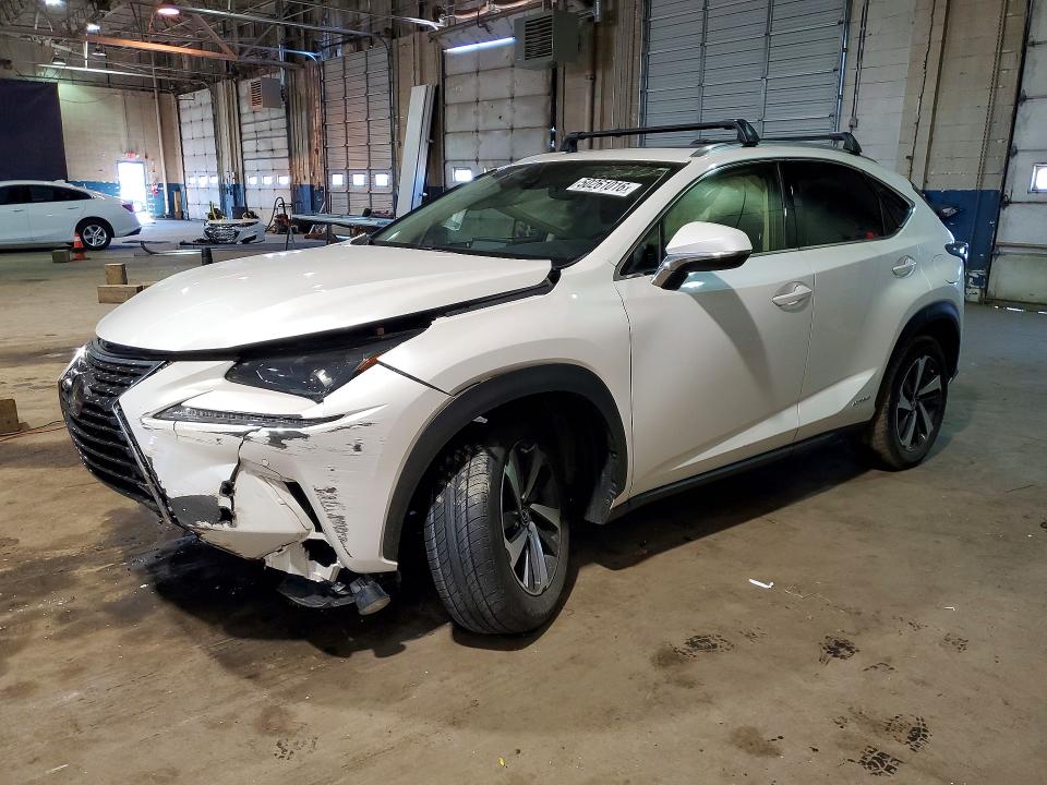 Продаж на аукціоні авто 2020 Lexus Nx, vin: JTJGJRDZ6L5003501, номер лоту: 50261016
