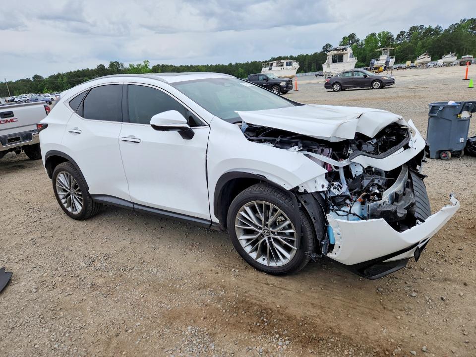 51675296 :رقم المزاد ، 2T2GKCEZ7TC058646 vin ، 2026 Lexus Nx 350h مزاد بيع