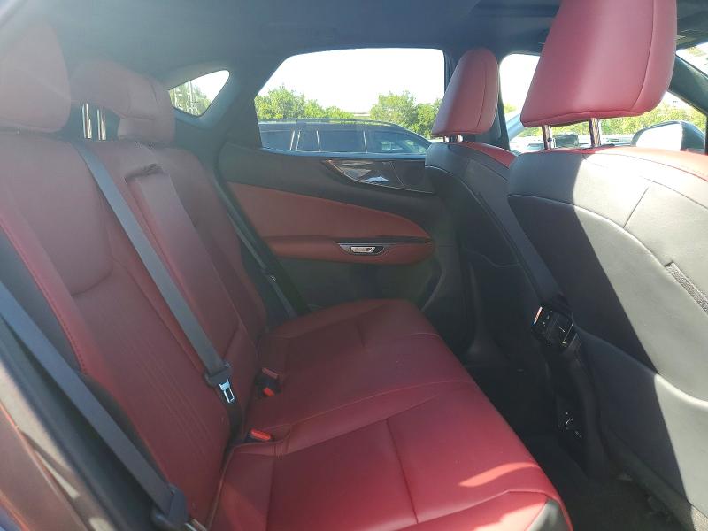 49273376 :رقم المزاد ، 2T2GGCEZ7PC023144 vin ، 2023 Lexus Nx مزاد بيع