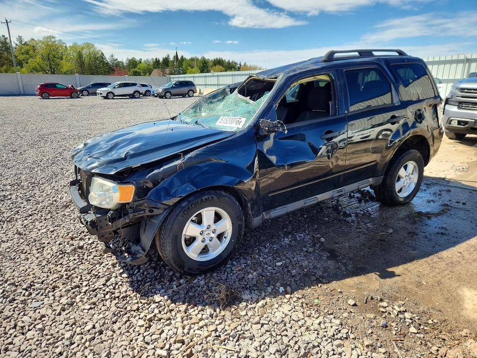 Продаж на аукціоні авто 2009 Ford Escape, vin: 1FMCU93G29KA66531, номер лоту: 51520866