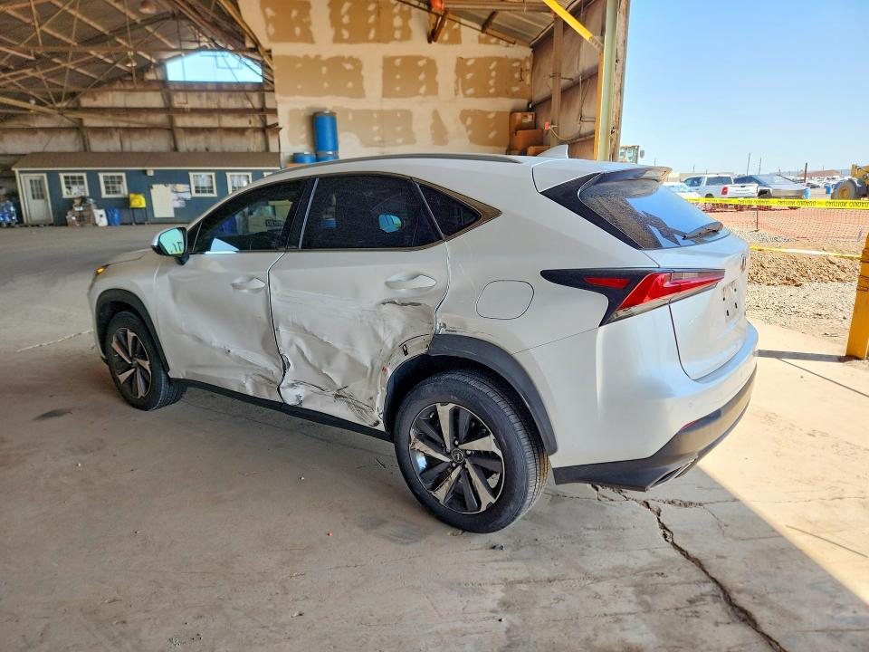 Продаж на аукціоні авто 2020 Lexus Nx, vin: JTJDARBZXL5012000, номер лоту: 51484156