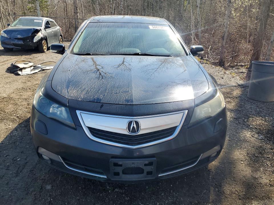 Продажа на аукционе авто 2013 Acura Tl, vin: 19UUA9F75DA800706, номер лота: 50825836