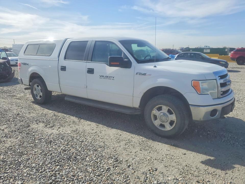 50555346 :رقم المزاد ، 1FTFW1EF1DFC21170 vin ، 2013 Ford F150 مزاد بيع