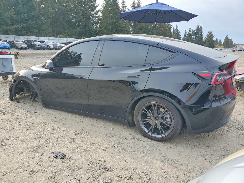 Aukcja sprzedaży 2025 Tesla Model Y, vin: 7SAYGAEE2SF239064, numer aukcji: 50519046