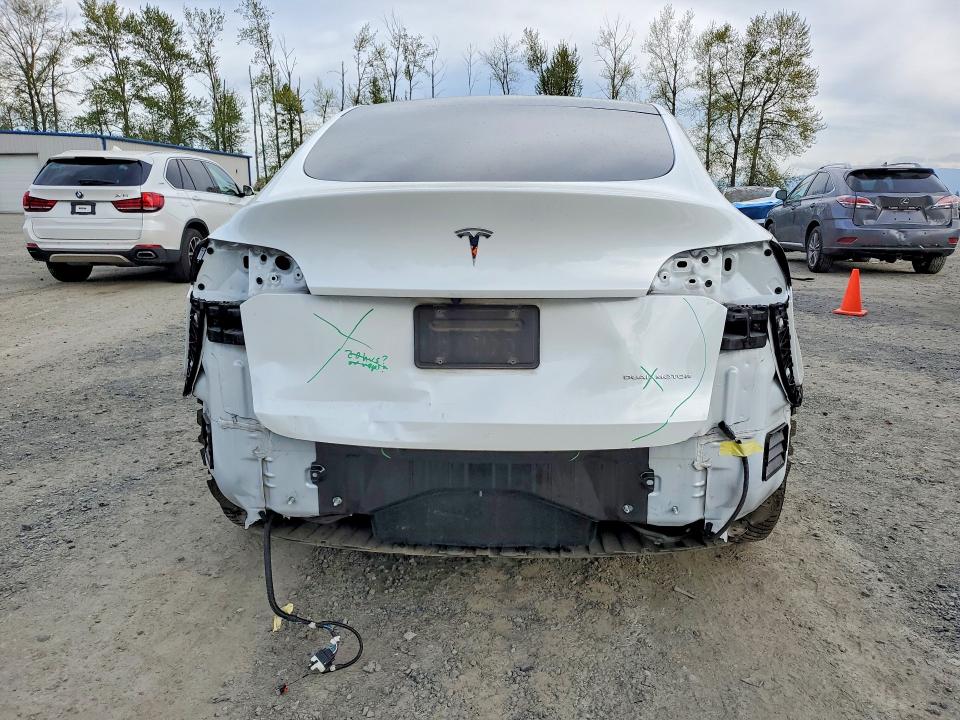 Продаж на аукціоні авто 2022 Tesla Model Y, vin: 7SAYGDEE7NF329915, номер лоту: 50668136