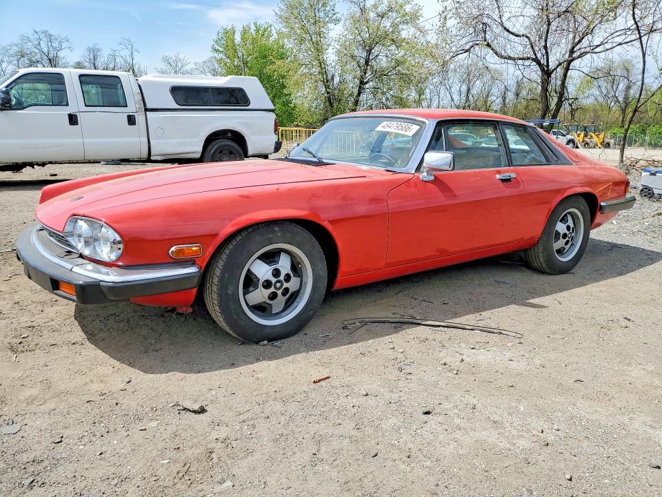 49479586 :رقم المزاد ، SAJNV5847DC111288 vin ، 1983 Jaguar Xjs مزاد بيع