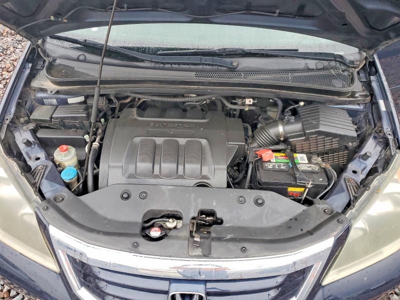 51244846 :رقم المزاد ، 5FNRL384X9B400900 vin ، 2009 Honda Odyssey مزاد بيع