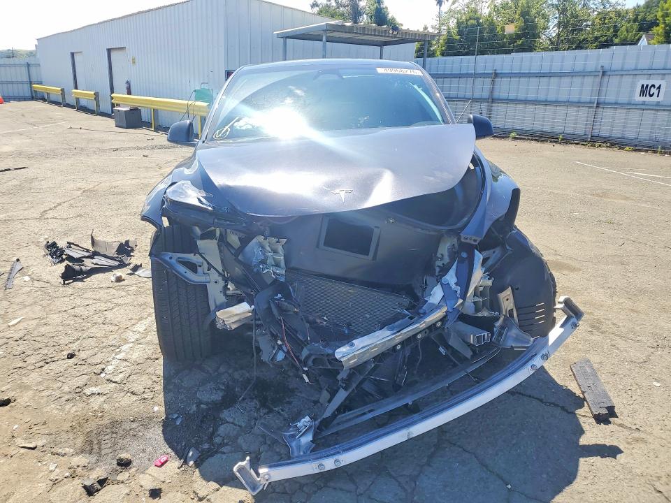 Продаж на аукціоні авто 2025 Tesla Model Y, vin: 7SAYGAEE8SF282064, номер лоту: 49968276