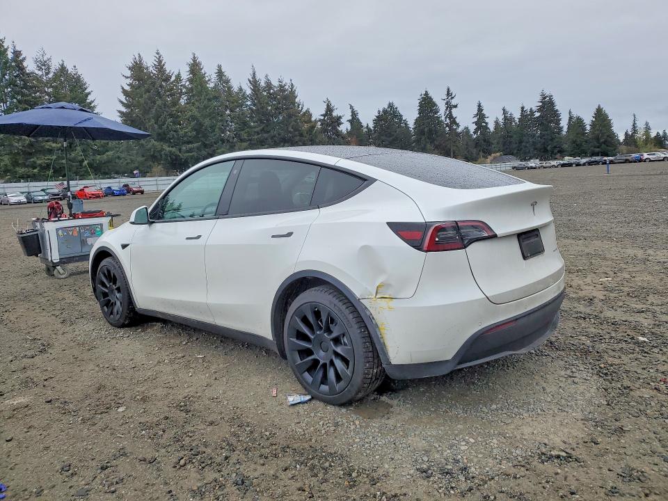 48134716 :رقم المزاد ، 7SAYGDEE7NF316064 vin ، 2022 Tesla Model Y مزاد بيع