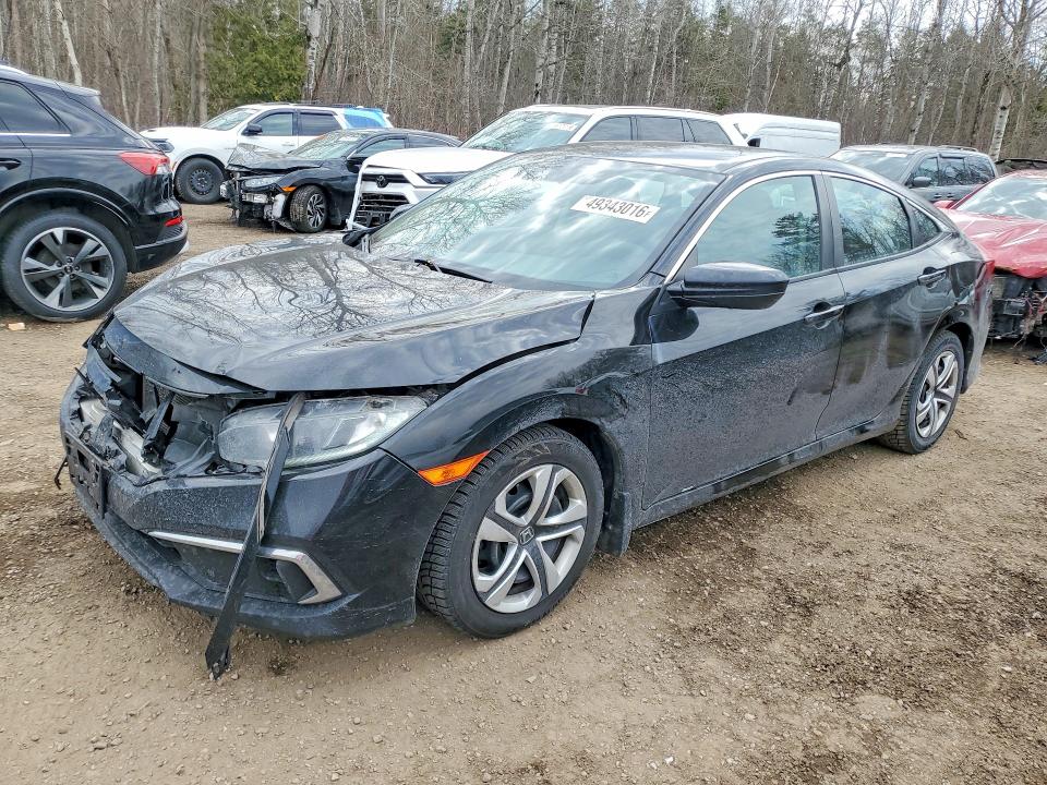 49343016 :رقم المزاد ، 2HGFC2F59LH011614 vin ، 2020 Honda Civic مزاد بيع