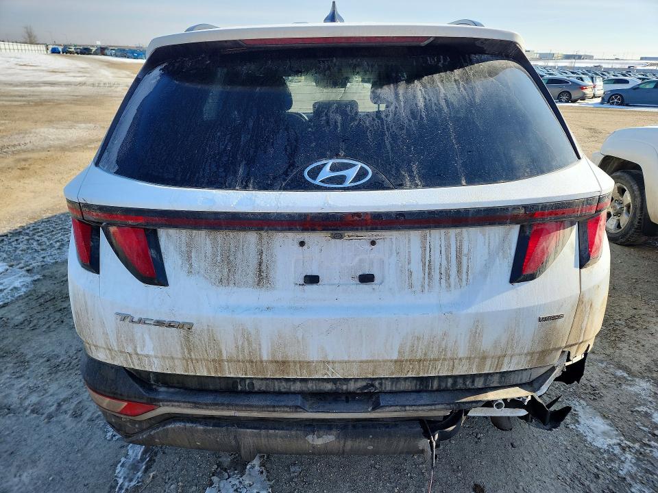 Продаж на аукціоні авто 2023 Hyundai Tucson, vin: KM8JBCAE9PU202571, номер лоту: 48249766