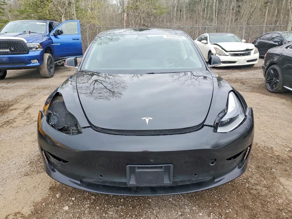 49260306 :رقم المزاد ، 5YJ3E1EA2KF422569 vin ، 2019 Tesla Model 3 مزاد بيع