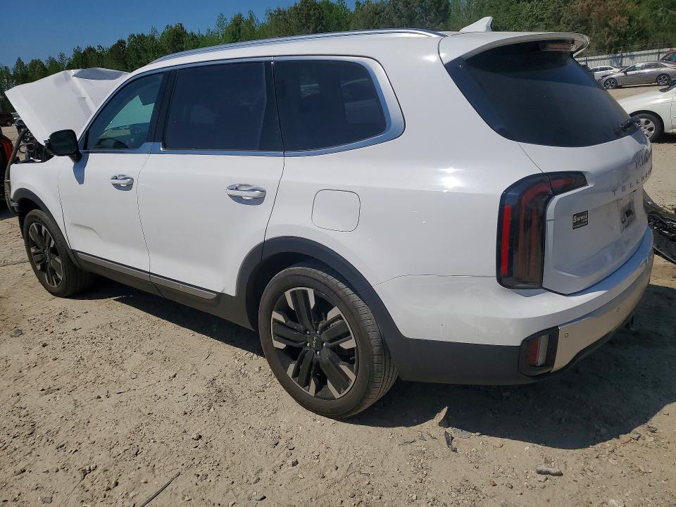 2024 Kia Telluride მანქანა იყიდება აუქციონზე, vin: 5XYP5DGCXRG539076, აუქციონის ნომერი: 50216186