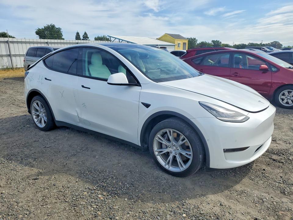 Продаж на аукціоні авто 2021 Tesla Model Y, vin: 5YJYGDEE3MF225109, номер лоту: 49823106
