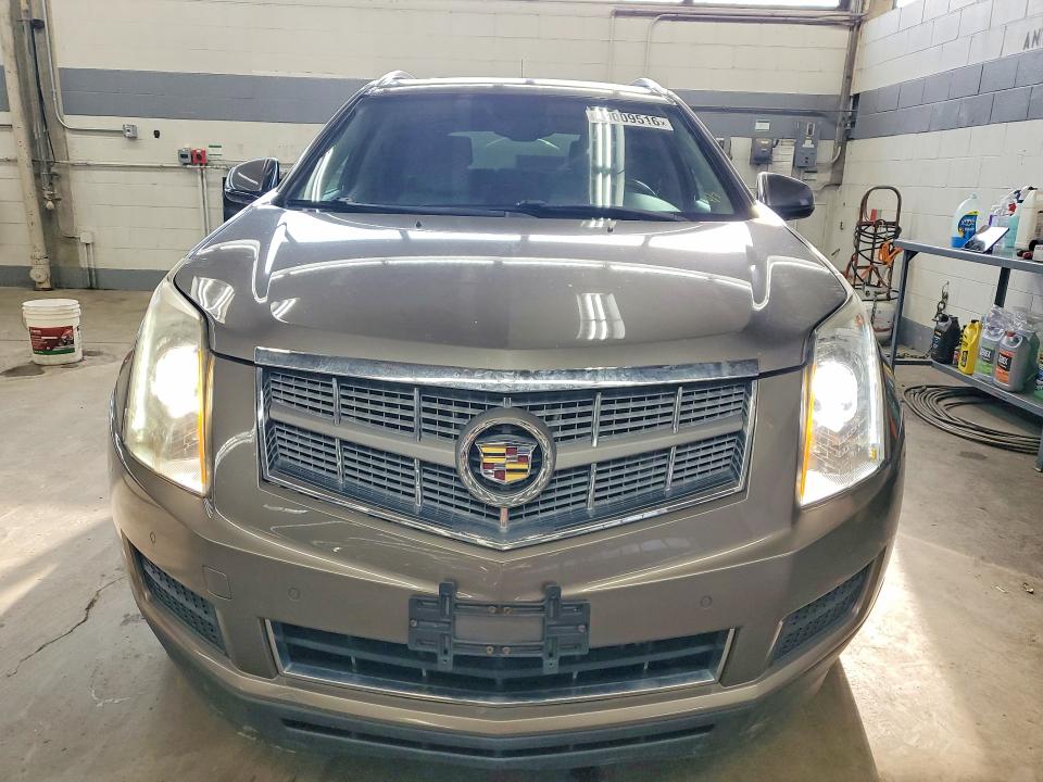 Продаж на аукціоні авто 2011 Cadillac Srx, vin: 3GYFNBEY2BS672525, номер лоту: 49009516