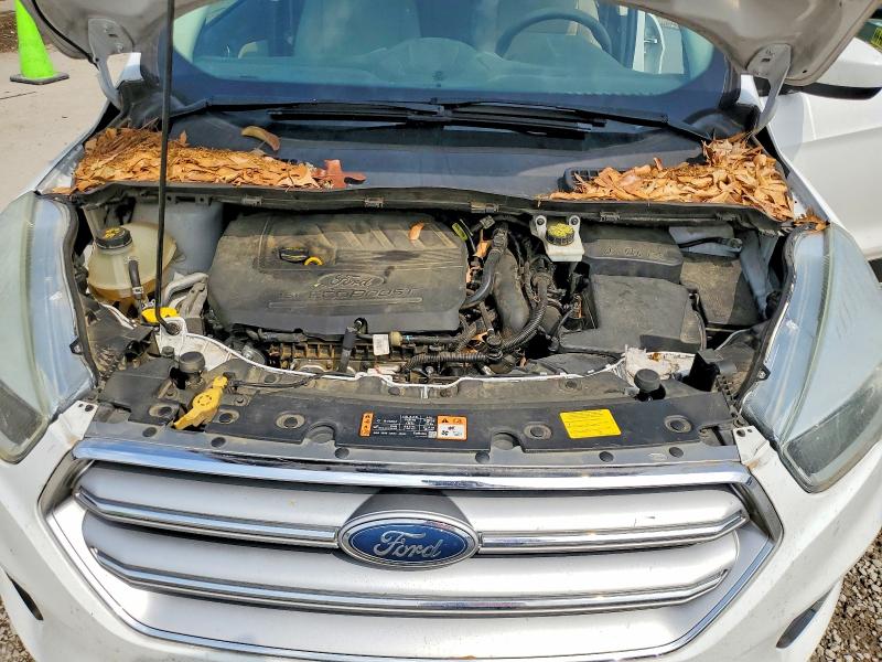 51142686 :رقم المزاد ، 1FMCU0GDXHUB73910 vin ، 2017 Ford Escape مزاد بيع