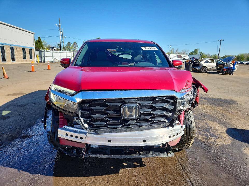 2024 Honda Passport მანქანა იყიდება აუქციონზე, vin: 5FNYF8H59RB020181, აუქციონის ნომერი: 50676256