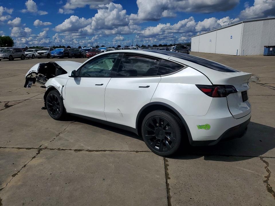 Продаж на аукціоні авто 2023 Tesla Model Y, vin: 7SAYGDEE4PF676072, номер лоту: 50933896