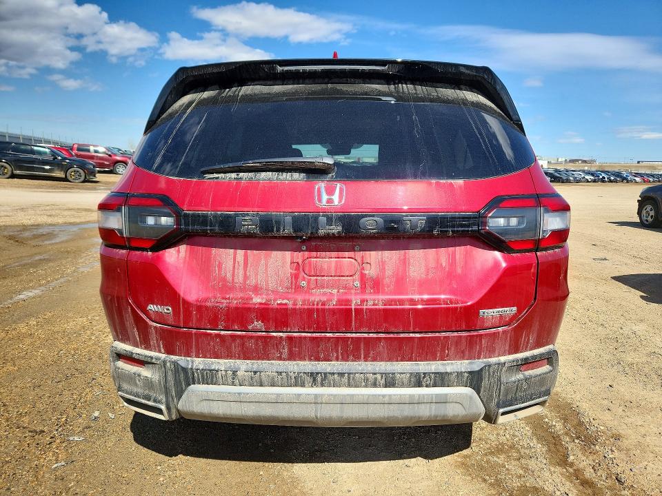 Продаж на аукціоні авто 2025 Honda Pilot, vin: 5FNYG1H79SB506484, номер лоту: 48541056