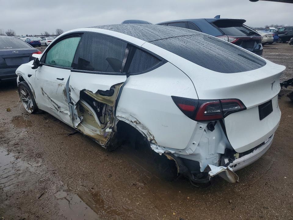 Продажа на аукционе авто 2023 Tesla Model Y, vin: 7SAYGDEEXPF809921, номер лота: 49327046