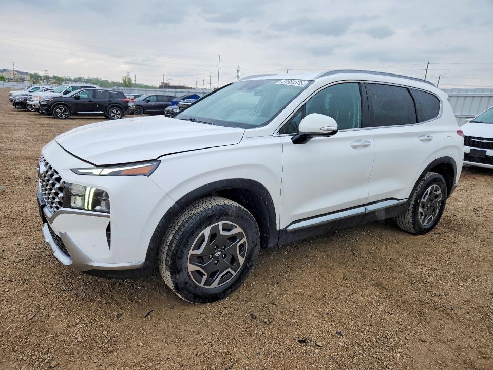 Продаж на аукціоні авто 2021 Hyundai Santa Fe, vin: KM8S2DA16MU010642, номер лоту: 51683376