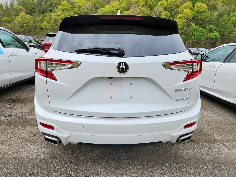 51949916 :رقم المزاد ، 5J8TC2H77SL000811 vin ، 2025 Acura Rdx مزاد بيع