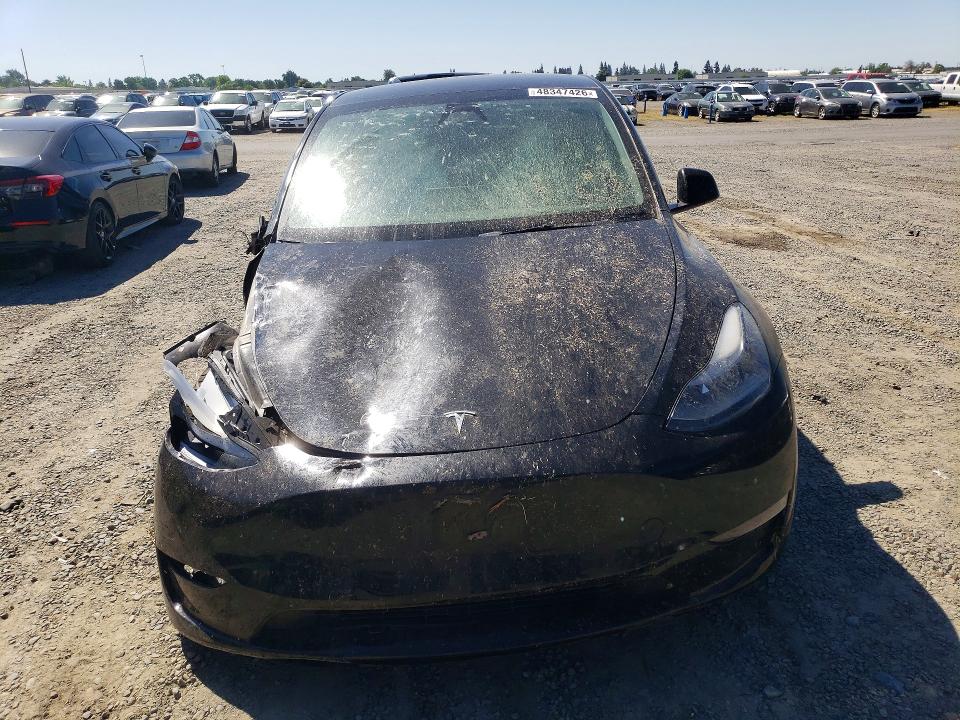 Продаж на аукціоні авто 2023 Tesla Model Y, vin: 7SAYGDEE6PF895177, номер лоту: 48347426