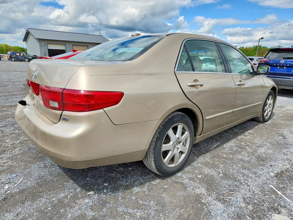 Продаж на аукціоні авто 2005 Hond Accord, vin: 1HGCM66525A074868, номер лоту: 51388556