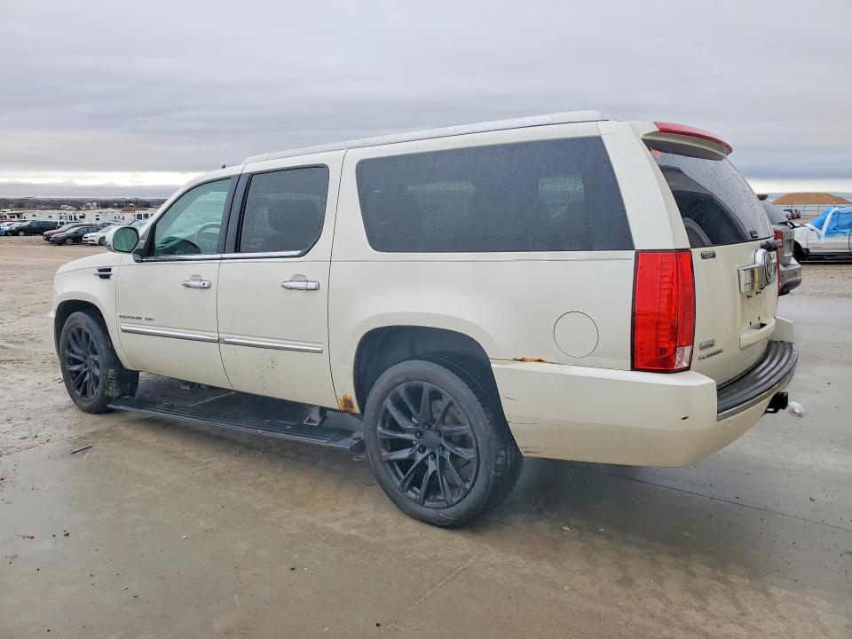 Auction sale of the 2010 Cadillac Escalade, vin: 1GYUKKEF7AR289485, lot number: 47917586