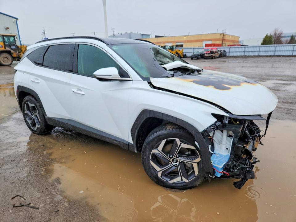 Продаж на аукціоні авто 2024 Hyundai Tucson Ultimate Phev 4dr Awd, vin: KM8JDDD26RU162194, номер лоту: 49026706