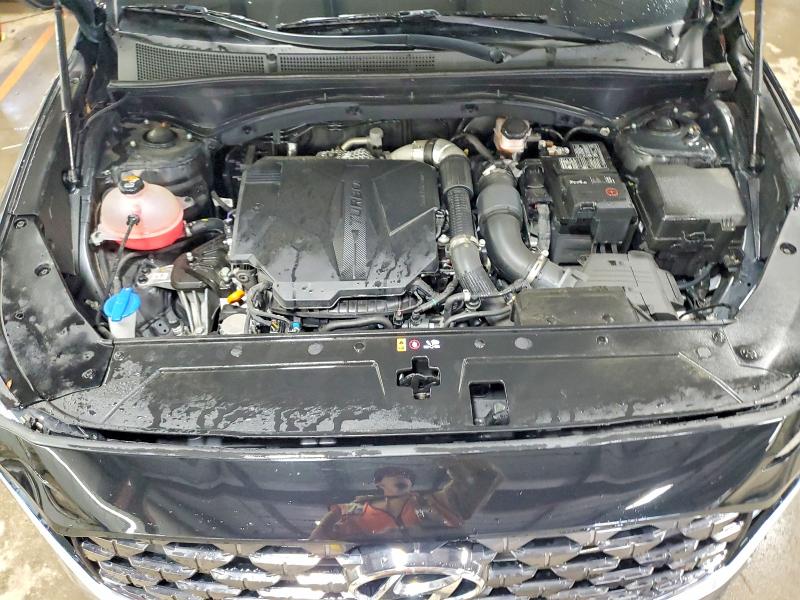 Продаж на аукціоні авто 2023 Hyundai Santa Fe, vin: 5NMS5DAL5PH586232, номер лоту: 51479636