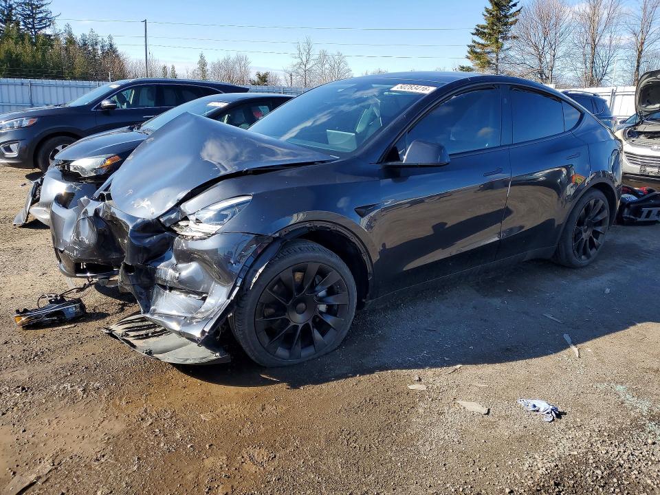 2024 Tesla Model Y მანქანა იყიდება აუქციონზე, vin: 7SAYGDEE3RF027141, აუქციონის ნომერი: 50283416