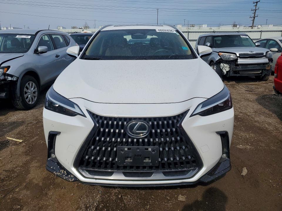 48695036 :رقم المزاد ، 2T2AGCEZ3SC061260 vin ، 2025 Lexus Nx 350 مزاد بيع