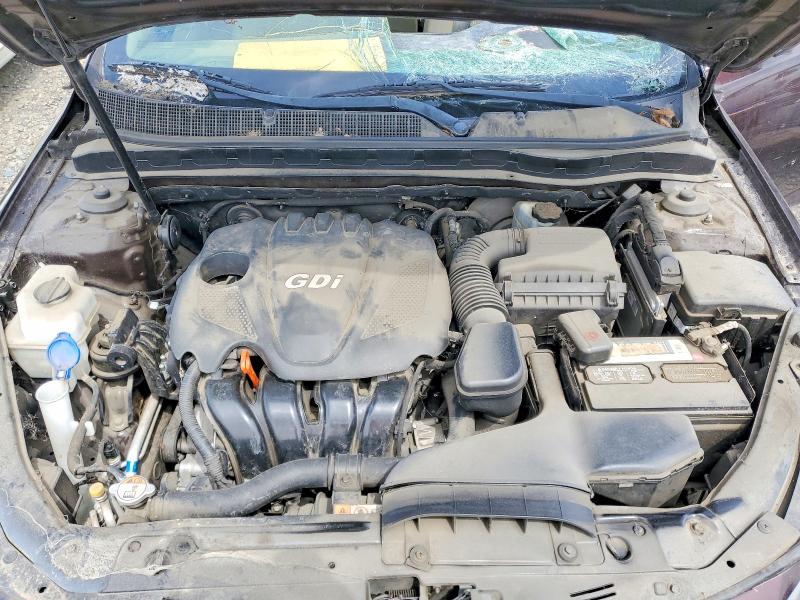 2011 Kia Optima მანქანა იყიდება აუქციონზე, vin: KNAGM4A79B5166557, აუქციონის ნომერი: 51021976