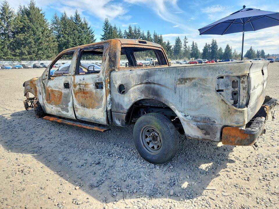 Продаж на аукціоні авто 2014 Ford F150, vin: 1FTFW1EF9EKG33331, номер лоту: 49015336