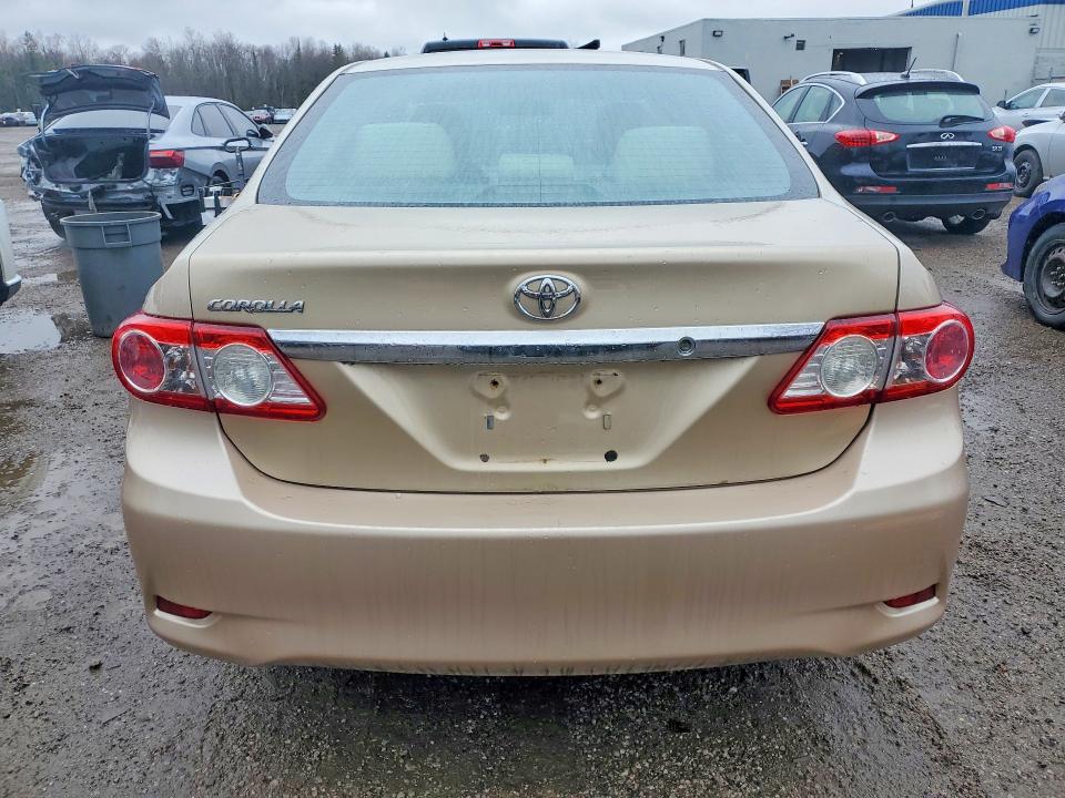 49301536 :رقم المزاد ، 2T1BU4EE6BC709503 vin ، 2011 Toyota Corolla مزاد بيع