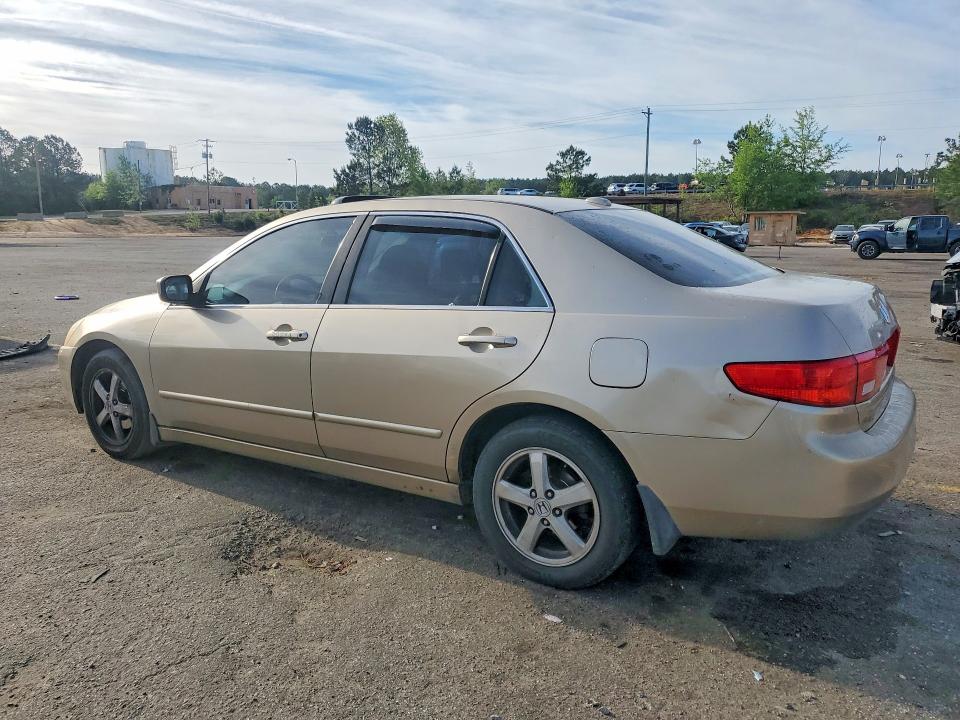 49560156 :رقم المزاد ، 1HGCM56865A123946 vin ، 2005 Honda Accord مزاد بيع