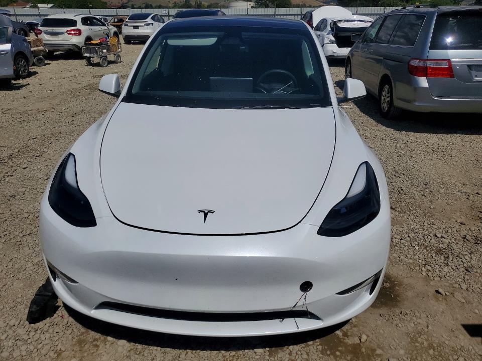 Продаж на аукціоні авто 2024 Tesla Model Y, vin: 7SAYGDEE8RF185636, номер лоту: 51249676