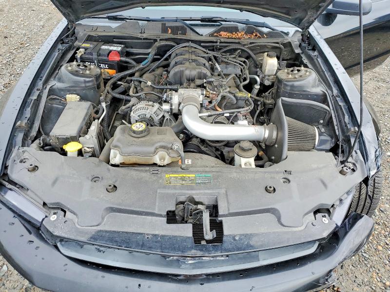 50802916 :رقم المزاد ، 1ZVBP8AN5A5100805 vin ، 2010 Ford Mustang مزاد بيع