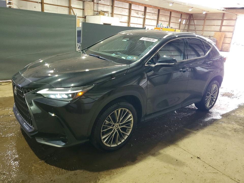Auction sale of the 2022 Lexus Nx, vin: 2T2HGCEZ6NC010578, lot number: 51186626