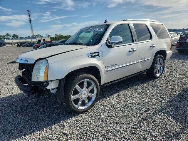 Продажа на аукционе авто 2009 Cadillac Escalade, vin: 1GYFC43509R273605, номер лота: 49826236