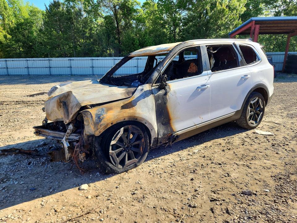 Продажа на аукционе авто 2024 Kia Telluride, vin: 5XYP64GCXRG532383, номер лота: 51768996