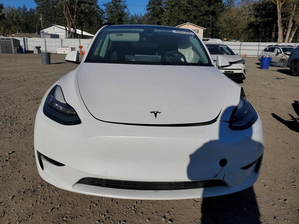 48691456 :رقم المزاد ، 5YJYGDEE1MF242829 vin ، 2021 Tesla Model Y مزاد بيع